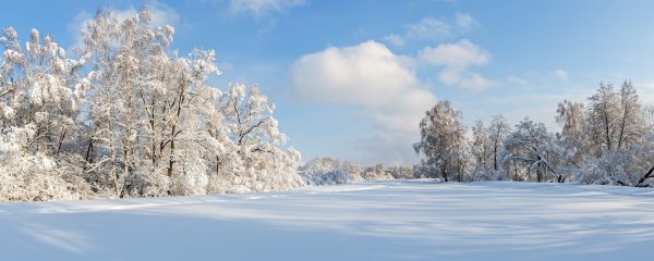 Зима панорама