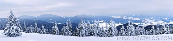 Зимний пейзаж панорама