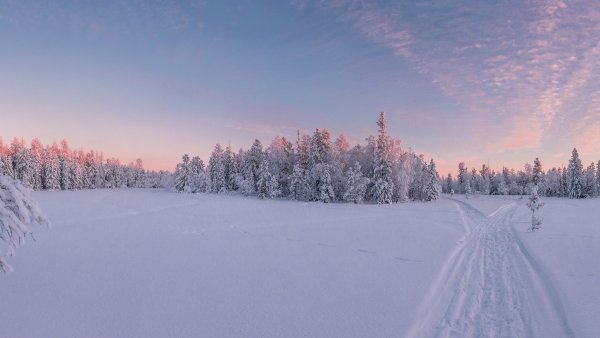 Зимний пейзаж панорама