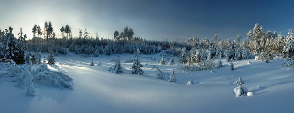 Сколько градусов в Сибири зимой