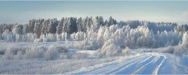 Зима панорама