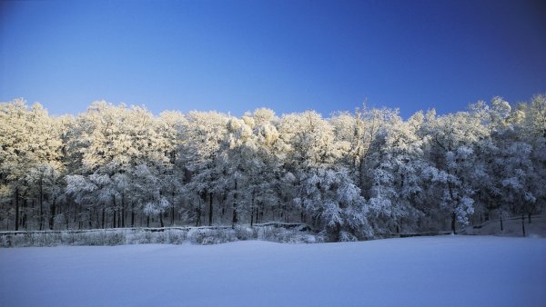Зима панорама