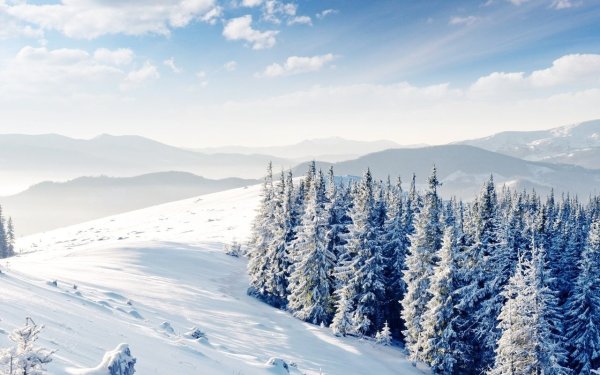 Зимний пейзаж панорама
