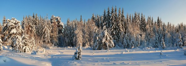Зимние горы панорама