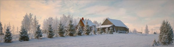 Панорама зима лес