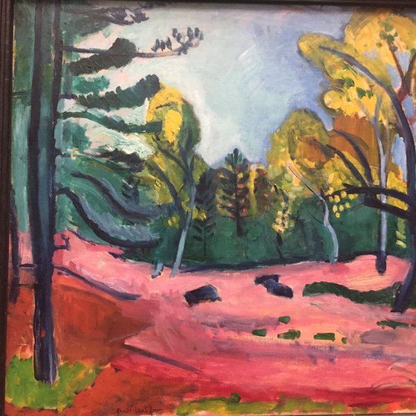 Анри Фриез Фовизм