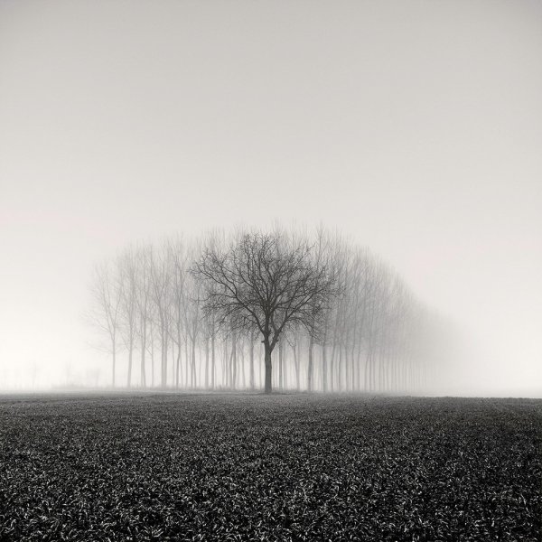 Черно белый пейзаж