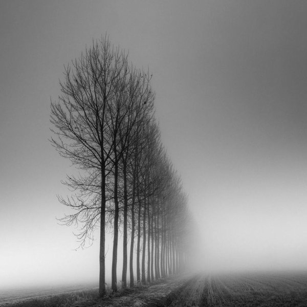 Пейзаж в черно белом цвете