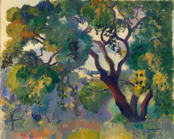 Анри Матисс оливковые деревья