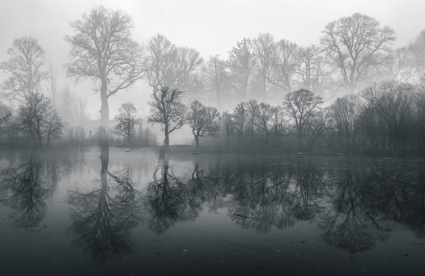 Пейзаж серость