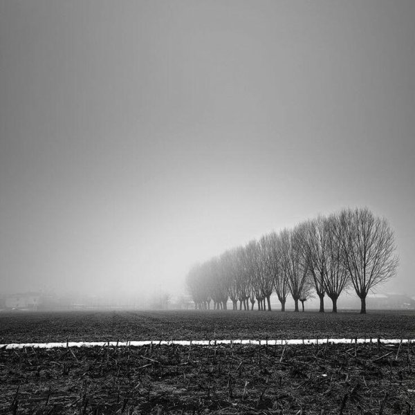 Природа деревья