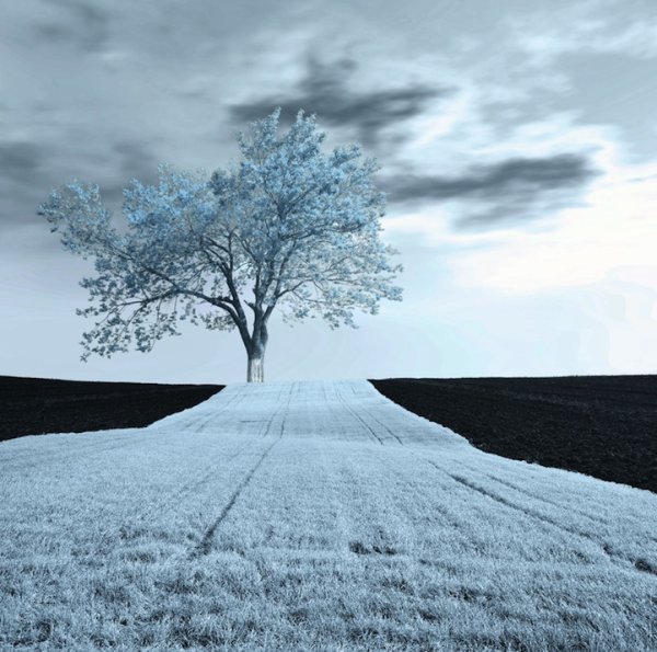 Темный пейзаж