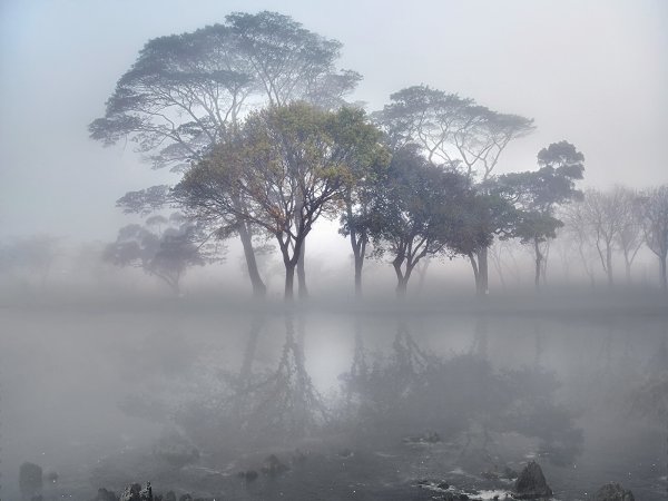 Джордж Дигалакис