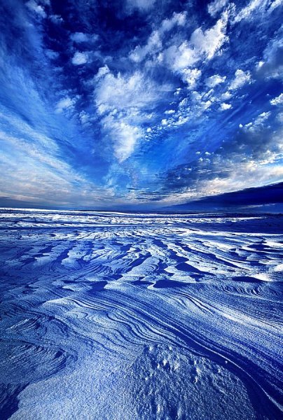 Синяя природа