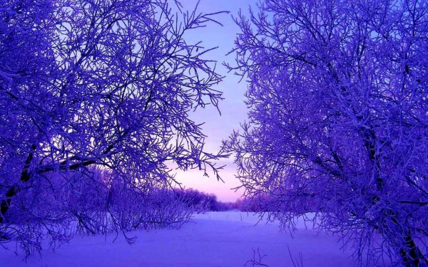 Фантазийный пейзаж