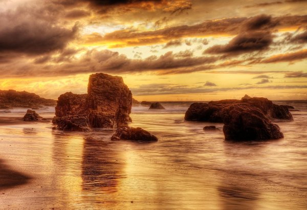 Коричневое море