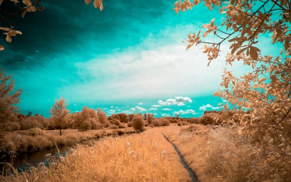 Пейзаж в бирюзовых тонах