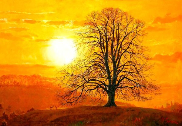 Кан Юн Хо картины