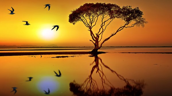 Пейзаж в коричневых тонах вода