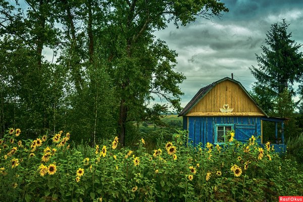 Robin Weiss художник