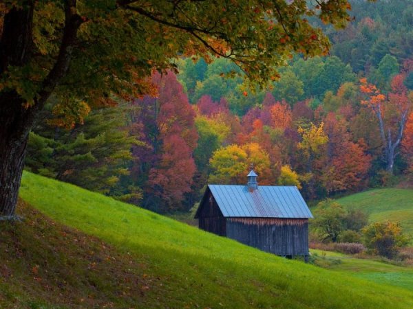 Деревенский дом осенью