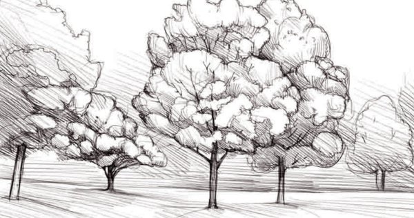 Рисунок осень