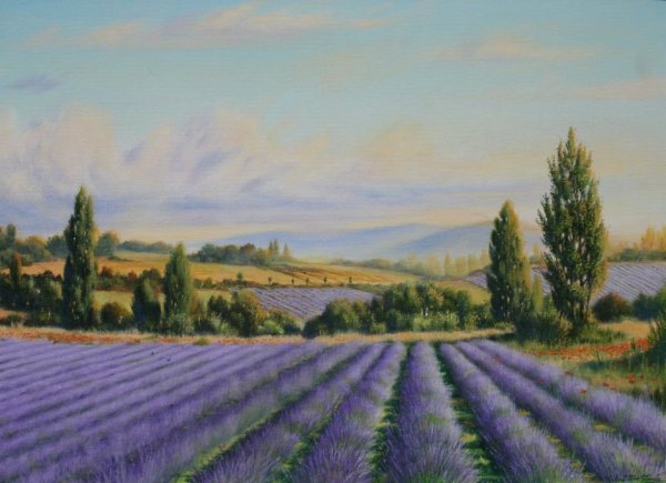 Кристиан Женель Лаванда