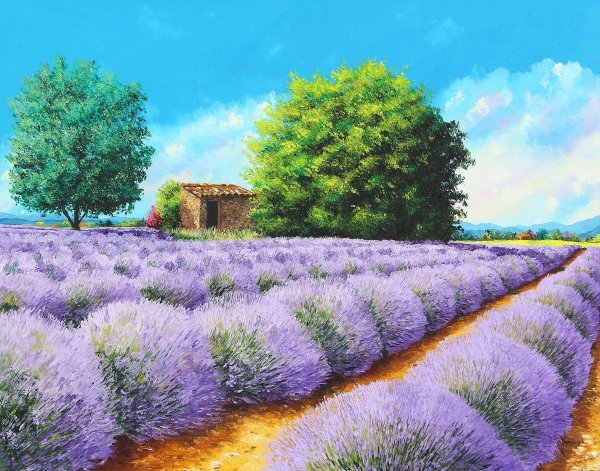 Живопись Жан Марк Жаньячик