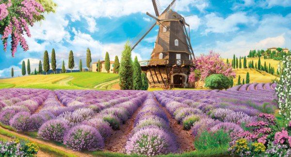 Прованс с мельницей и лавандой