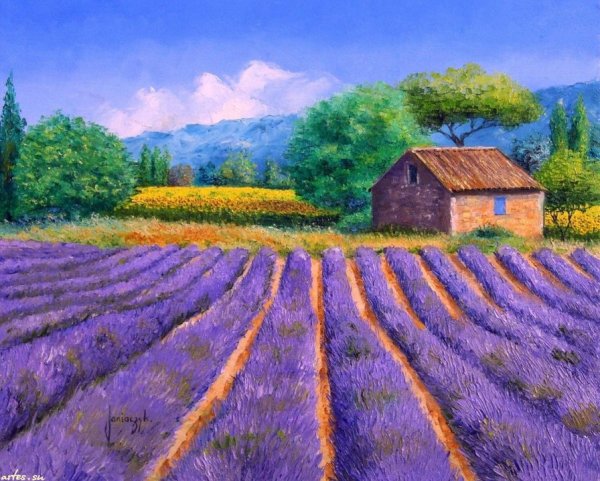 Французский художник-Импрессионист Jean-Marc Janiaczyk