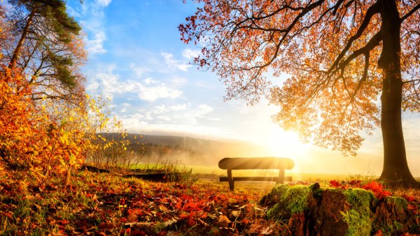 Сергей Есенин Отговорила роща Золотая