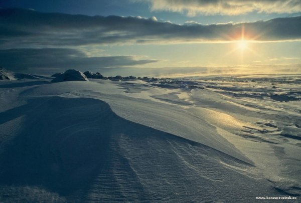 Арктика тундра Ледяная пустыня Гренландия