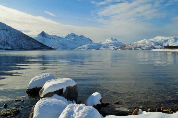 Арктический арктические пустыни субарктический