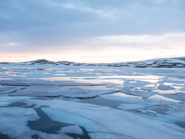 Зона арктических пустынь