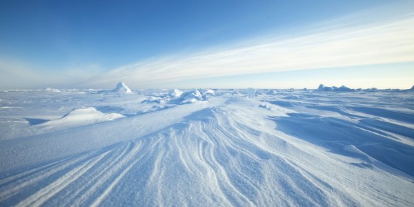 Зона арктических пустынь Ледяная зона