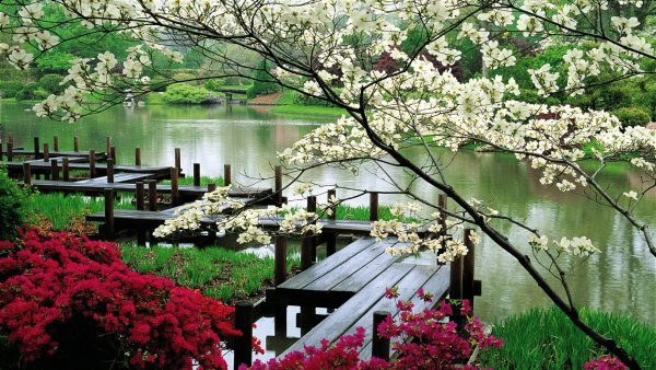 Китайская живопись пагода