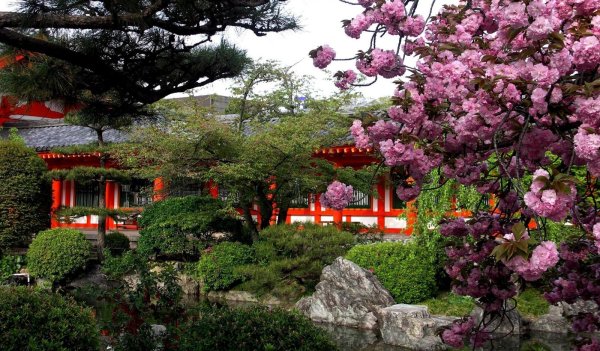 Кинкакудзи золотой павильон Киото