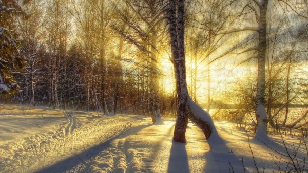 Февральский пейзаж