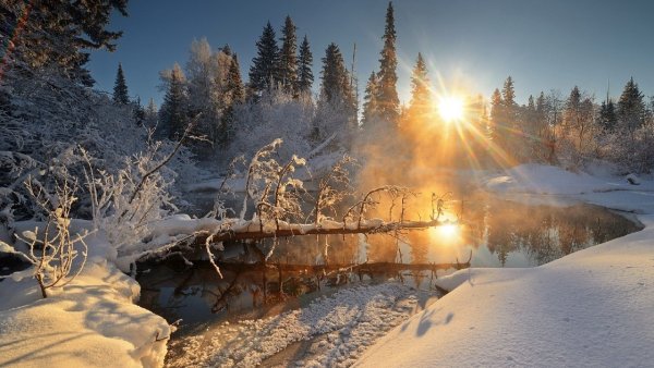 Солнечный зимний день