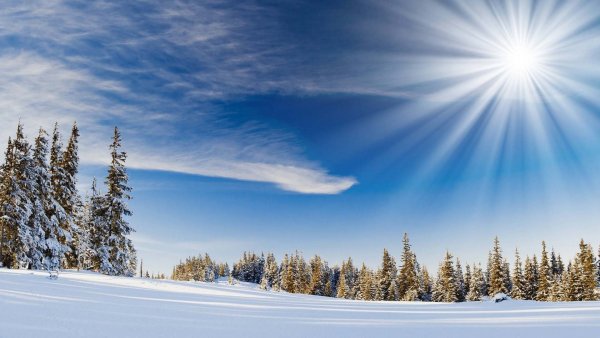 Красивый вид зимой