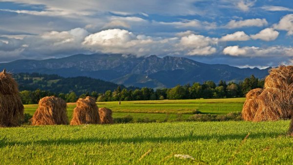 Природа поле стог сена август