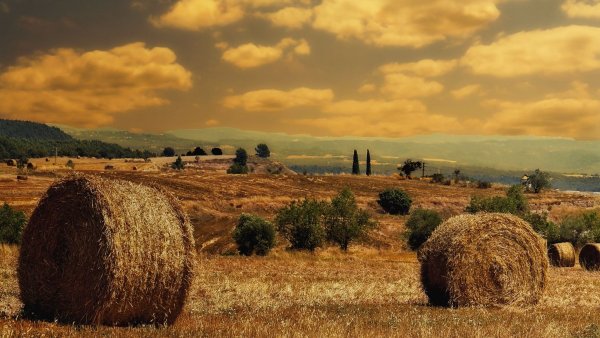 Авдотья Сеногнойка