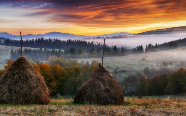 Стога в тумане