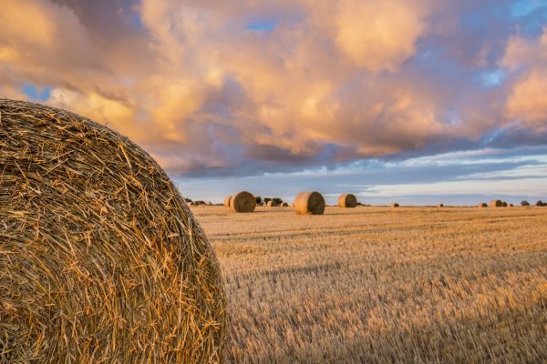 Скирда омёт копна