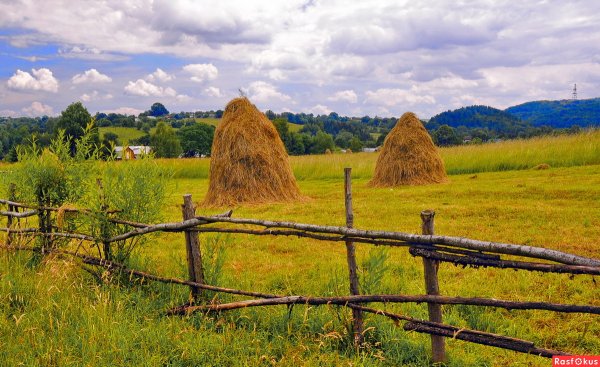 Деревня поле сенокос