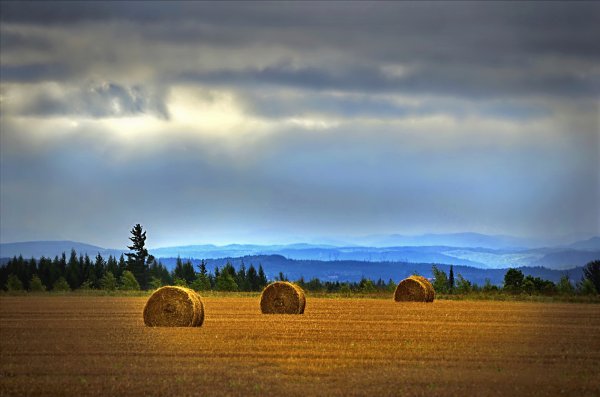 Пейзаж стога сена