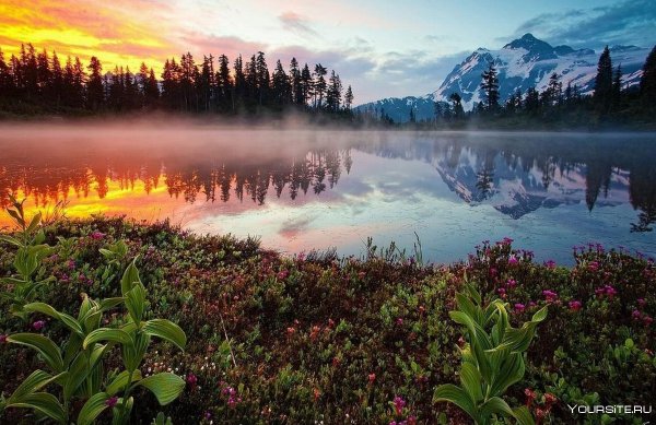 Чудесный мир природы