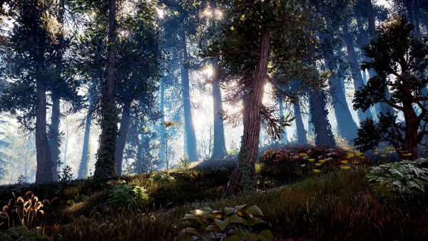 Пейзажи хорайзон Зеро давн