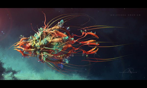 Анастасия Просочкина картины