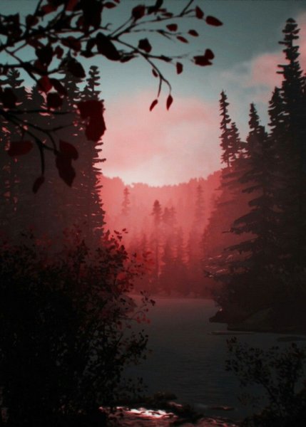 Life is Strange 2 лес